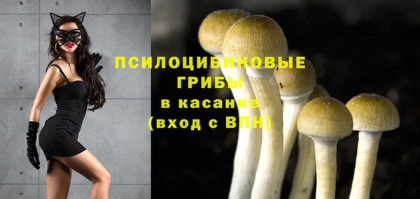 MESCALINE Медногорск