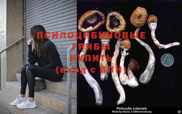 spice Мегион