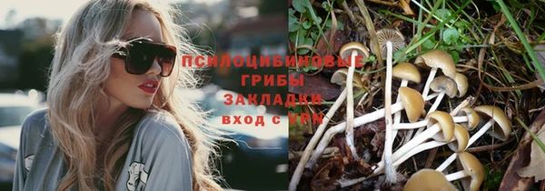 хмурый Медвежьегорск