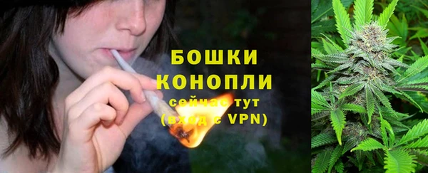 2c-b Кедровый