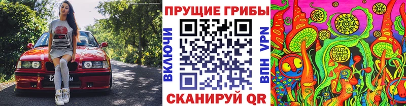 Галлюциногенные грибы Psilocybine cubensis  дарнет шоп  Малая Вишера 