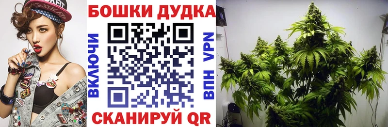 Конопля Bruce Banner  как найти наркотики  гидра как зайти  Малая Вишера 